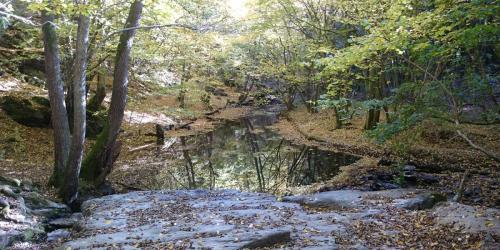 Baybachklamm im Herbst
