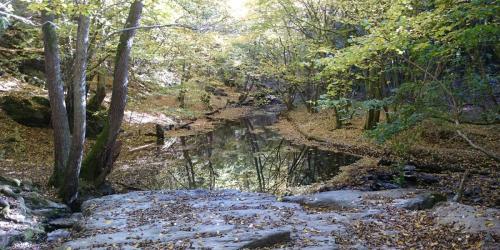 Baybachklamm im Herbst