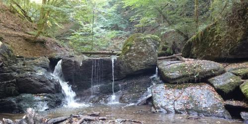 Das Ehrbachtal im Sommer.